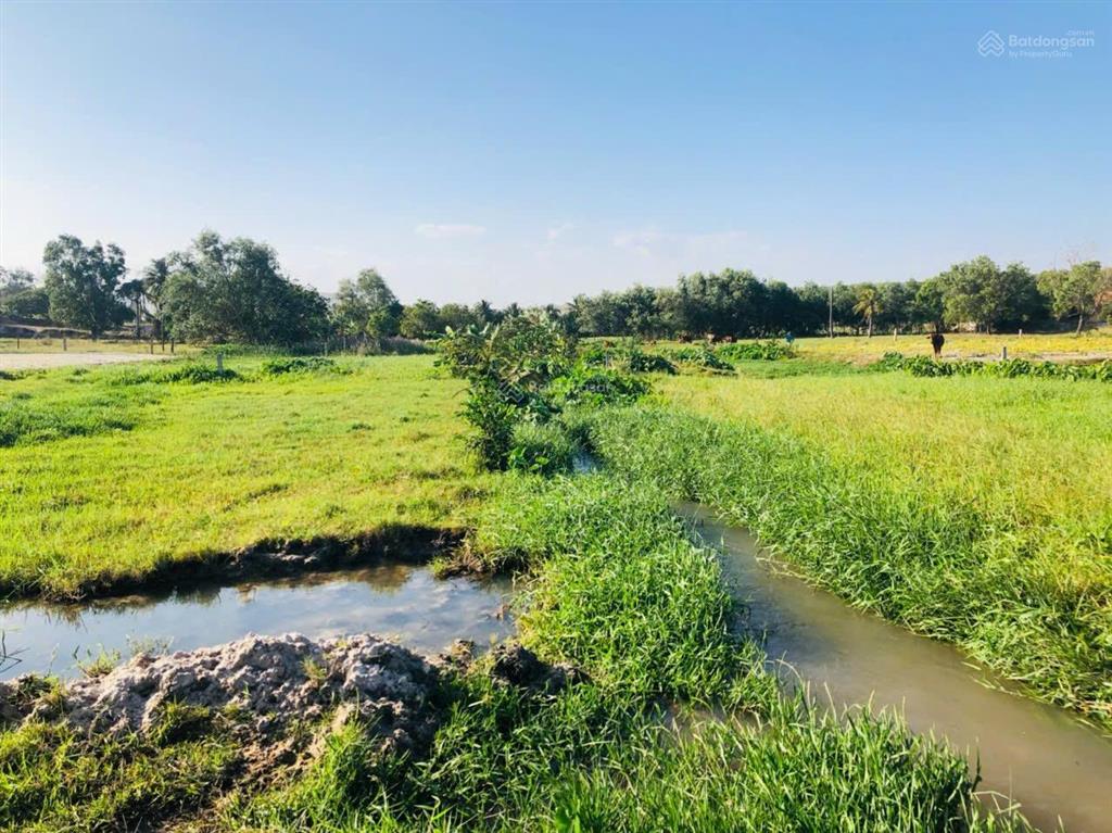 Bán 2999m2 đất thôn 7, xã hàm đức, hàm thuận bắc, gần cổng số 3 của sân bay giá rẻ