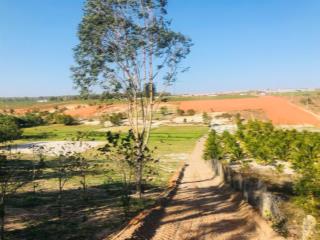 Bán 2999m2 đất thôn 7, xã hàm đức, hàm thuận bắc, gần cổng số 3 của sân bay giá rẻ