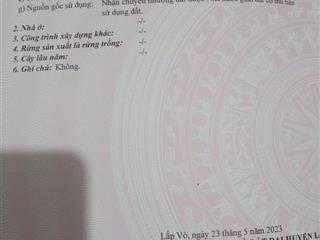 Bán đất thổ cư Định An,Lấp Vò ĐT. Mặt tiền Chợ Cái Dầu Bé. Sổ hồng 48m2, giá 550 triệu.