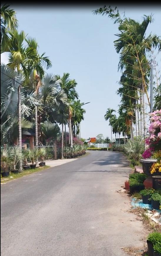 Bán Nhà Đất Làng Hoa Sa Đéc- Đường Trần Khánh Dư, mặt tiền 10m, giá 2,8 tỷ