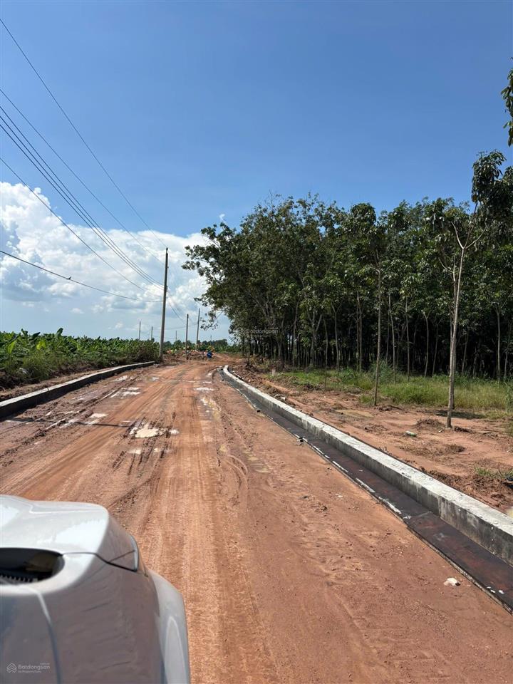 Chính chủ cần bán 2600m2 đất view hồ dầu tiếng