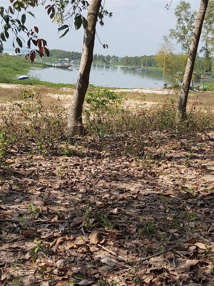 Chính chủ cần bán 2600m2 đất view hồ dầu tiếng