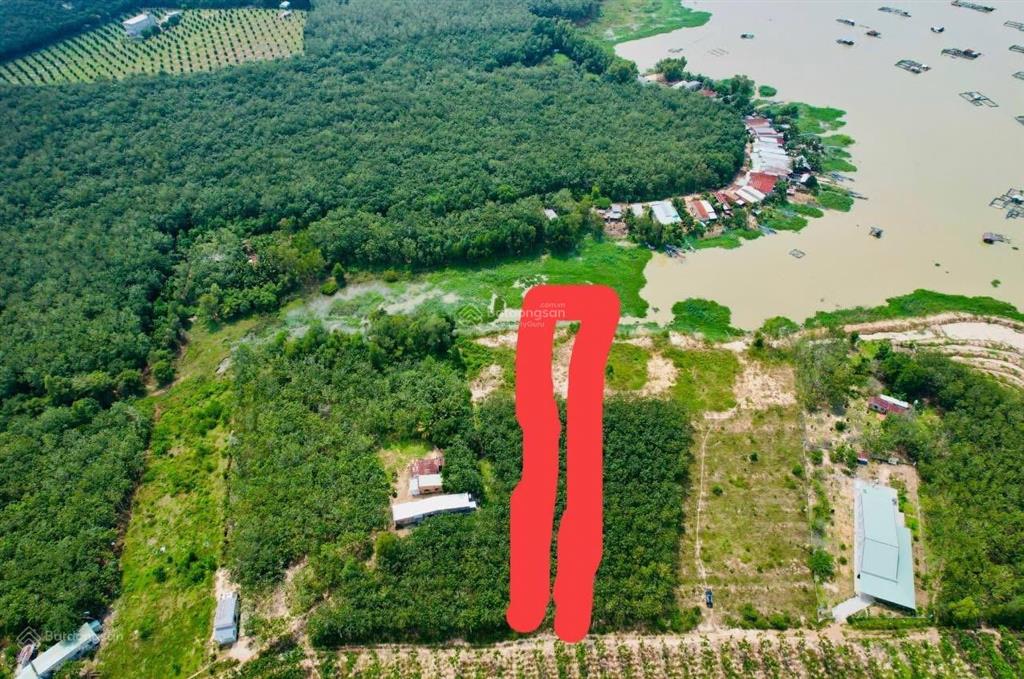 Chính chủ cần bán 2600m2 đất view hồ dầu tiếng