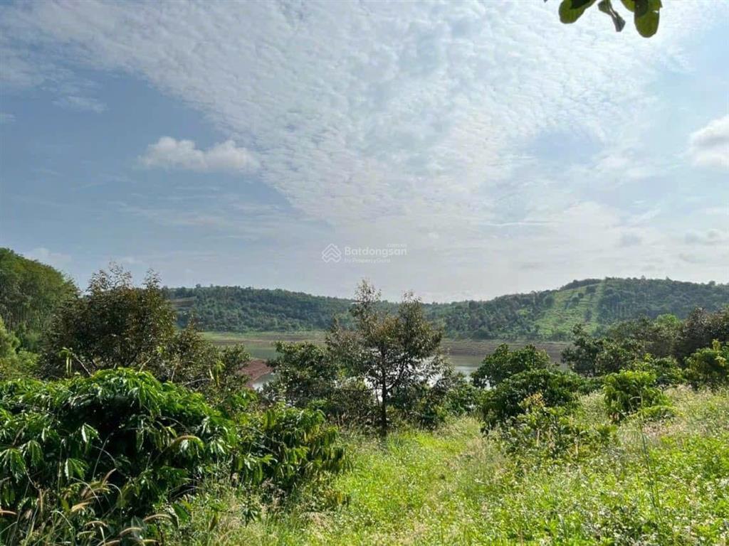 Bán đất view hồ đắk tik 1500m2