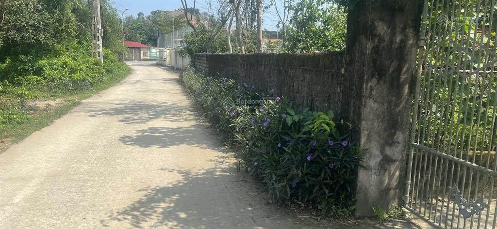 Chính chủ bán đất nghi lộc nghệ an 7x33m