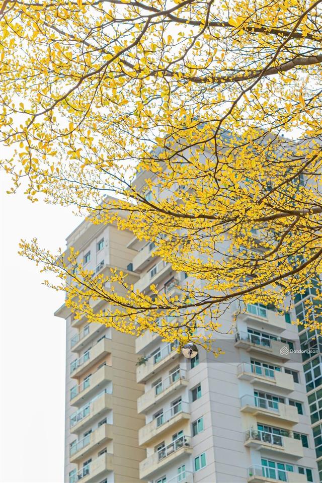 Tổng hợp căn hộ đang bán tại ciputra tòa g2, g3, e1, e4, e5, p1, p2, l1, l2, l345.  0973 148 ***