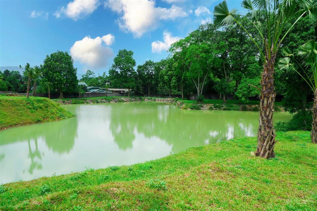 Bán đất tp hòa lạc, 100m² full thổ cư, view hồ, sổ hồng riêng, chỉ 1,95 tỷ, alo 0986 498 ***