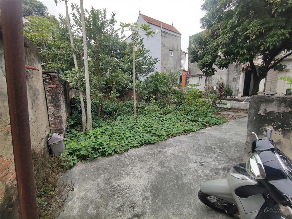 Bán 46m đặng xá gia lâm, ngõ thoáng, giá 3.x tỷ