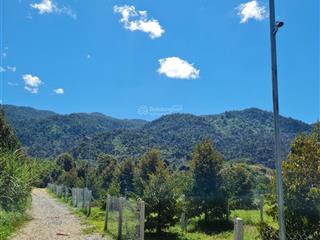 Bán đất chính chủ 1000m2 trồng sầu riêng