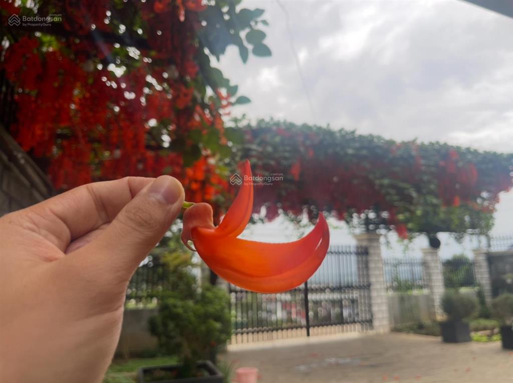 Bán đất full thổ cư, đường chính lên chùa quán thế âm thầy giác nhàn, đức trọng lâm đồng