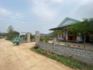 218m2 chỉ 230tr đa phúc, yên thuỷ, hòa bình đất sẵn bưởi sai trĩu  0983 465 ***