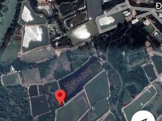 Đất chính chủ  xã bình khánh  diện tích 1.000m²  giá 1,5 tỷ  0918 182 ***