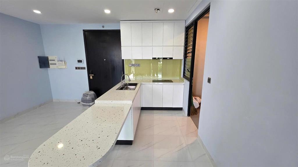 Căn hộ cao cấp feliz en vista 1pn  diện tích 58m2  ntcb  giá thuê cực tốt 15 triệu/tháng