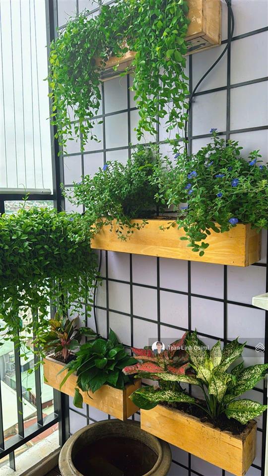 Giá từ 4.4 tỉ . cg bán chung cư gia phát nguyễn oanh gò vấp  dt 75m2  có sổ, hỗ trợ vay ạ