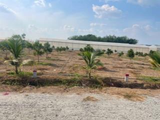 Chỉ hơn 700tr sở hữu đất tp. hồ chí minh ngang 10x37 có 100m2 thổ cư, trồng sẵn cây ăn trái.