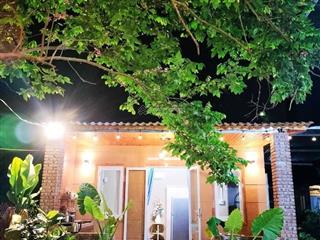Homestay nghỉ dưỡng 5200m2 khe su  bạch mã. dòng tiền sẵn