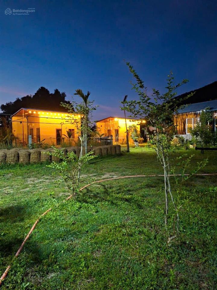 Homestay nghỉ dưỡng 5200m2 khe su  bạch mã. dòng tiền sẵn