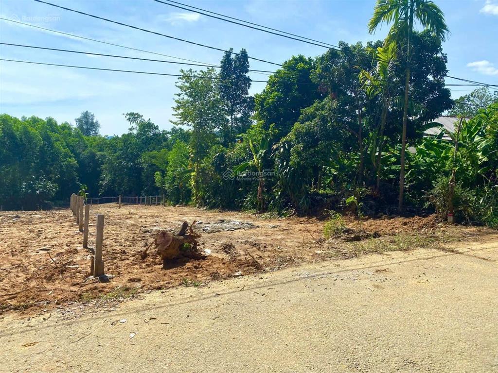 274m2 mặt tiền trục chính phú lợi  bình điền. gần ami garden, bình điền retreat