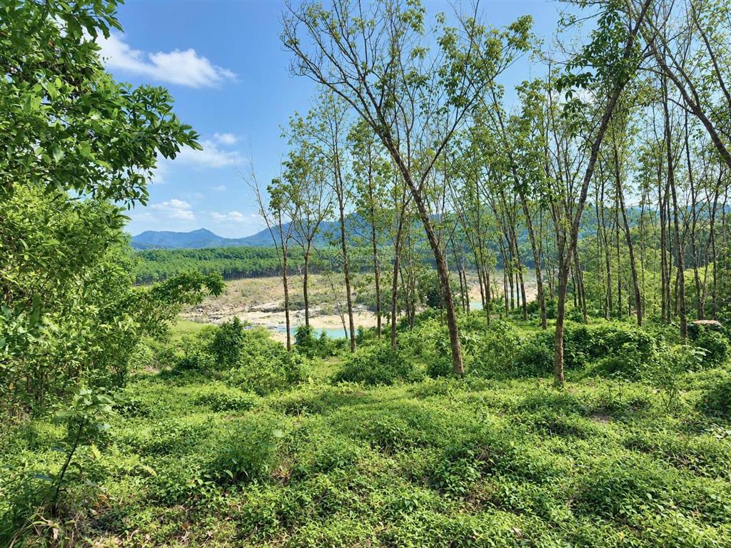 191.8m2 đất bình điền, cạnh bên lake ho, gần ami garden