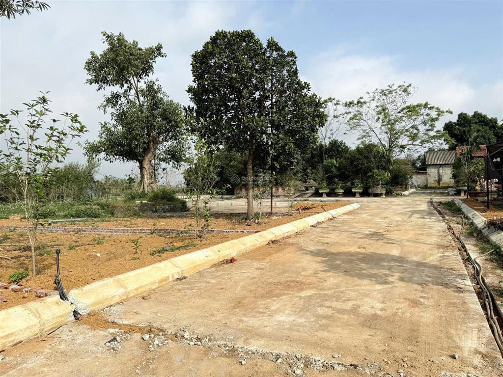 Chủ cần tiền gấp bán lô 100m ont giá bao đẹp cho ac nào cần đầu tư phú cát hà nội
