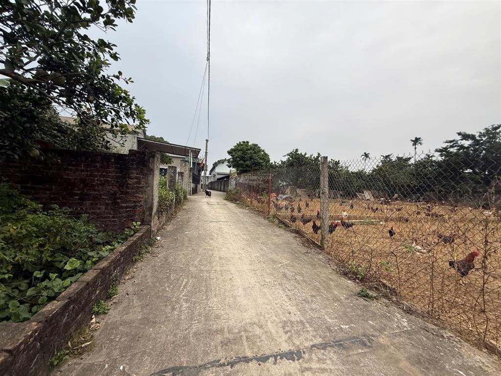 Chính chủ bán 200m gần trục chính hòa thạch, phú cát. gần trường mầm non, nhà văn hóa. giá cực tốt.