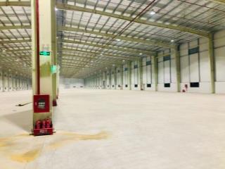 CHO THUÊ NHÀ XƯỞNG 27.000m² tại Cẩm Giàng Hải Dương