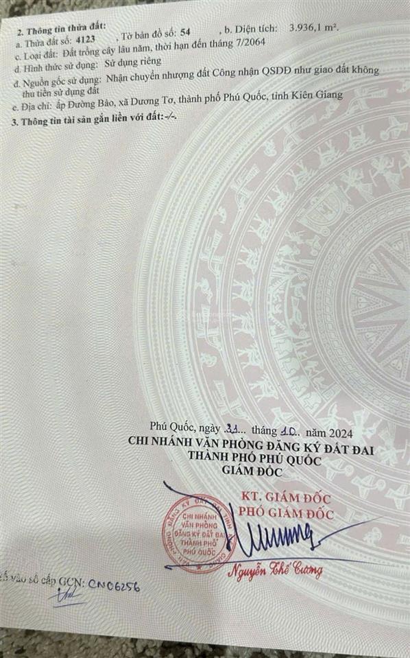Cần bán gấp lô góc 6200m² siêu đẹp tại đường bào