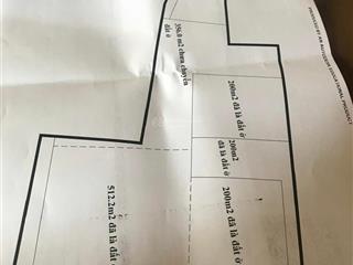 Bán đất tại nguyễn duy trinh, q9, hcm, giá siêu hời 80 tỷ, 1865.4m2