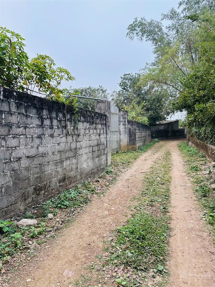 Bán đất 453m2, 3,15 tỷ giá dẻ nhất khu vực tại tân tiến, chương mỹ, hà nội, view đẹp hot!