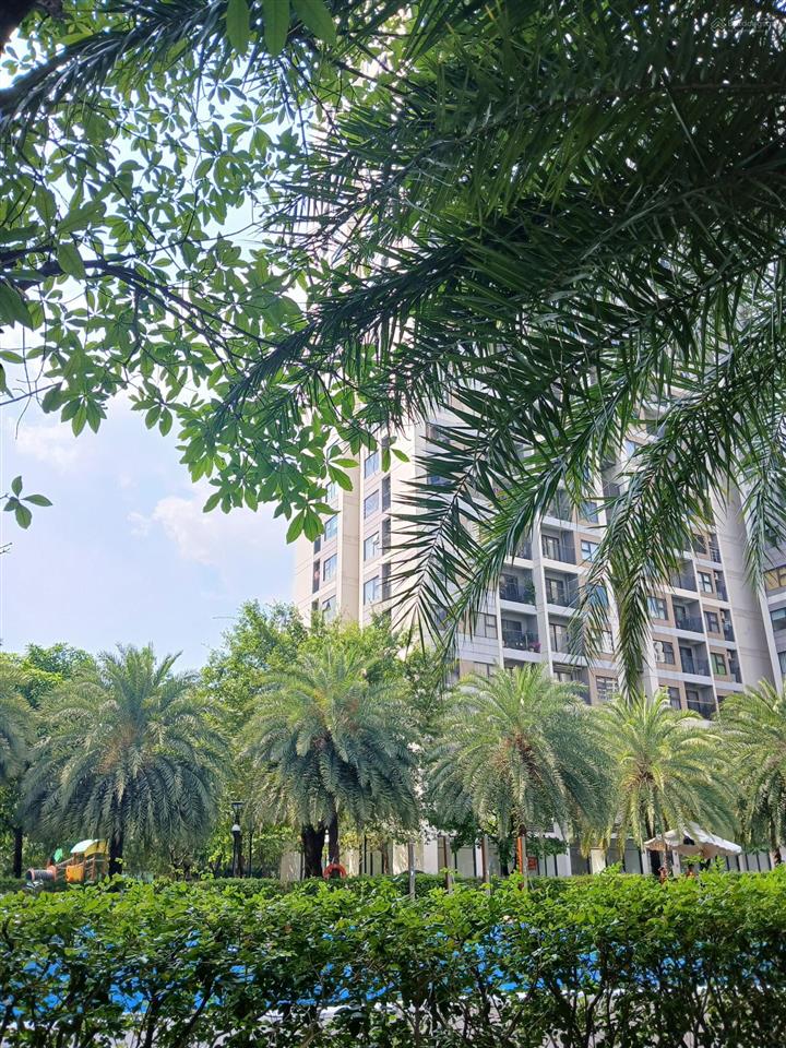 Cho thuê căn hộ vinhomes grand park đường nguyễn xiển quận 9 nhà trống 2pn 2wc có máy lạnh giá tl