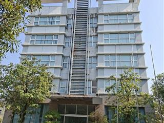 Cho thuê tòa nhà văn phòng tại số 54 đường nguyễn du