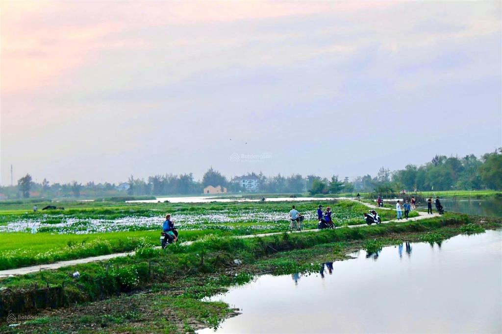 View ruộng lúa hội an. siêu phẩm view lúa trực diện giá rẻ tại hội an. lô đất 500m2 ngay cận phố