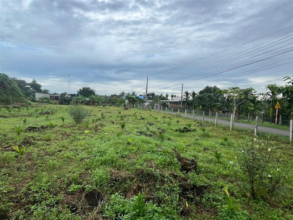 Bán đất 44 mét mặt tiền đường nhựa 5 mét, sổ hồng riêng, chính chủ định quán