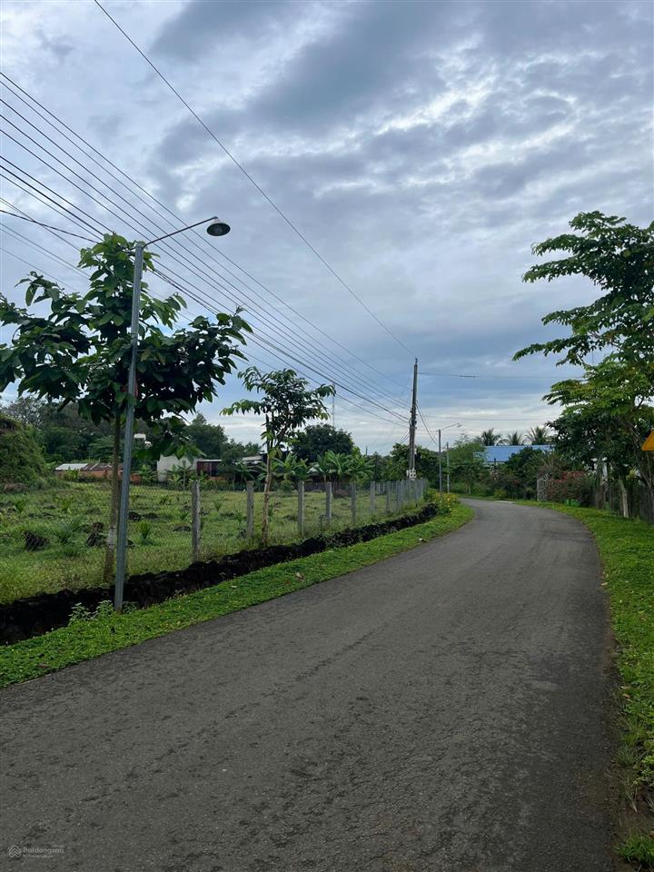 Bán đất 44 mét mặt tiền đường nhựa 5 mét, sổ hồng riêng, chính chủ định quán