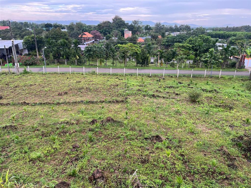 Bán đất 44 mét mặt tiền đường nhựa 5 mét, sổ hồng riêng, chính chủ định quán