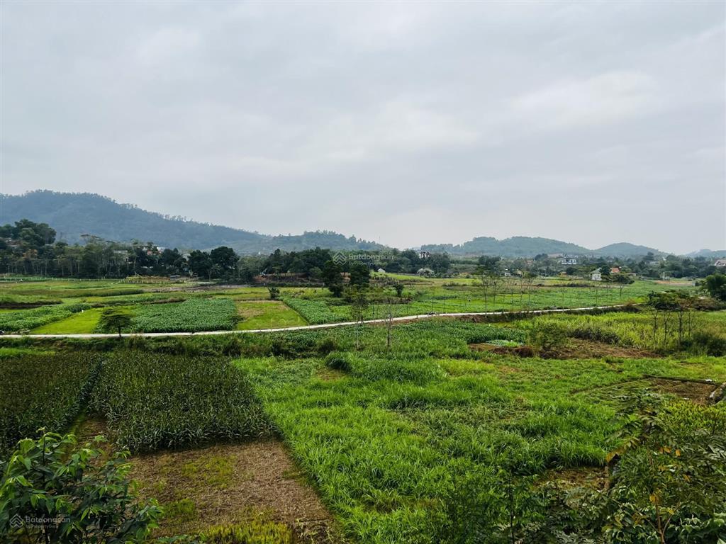 3480m2 view đẹp giá hời tại yên bài  hà nội