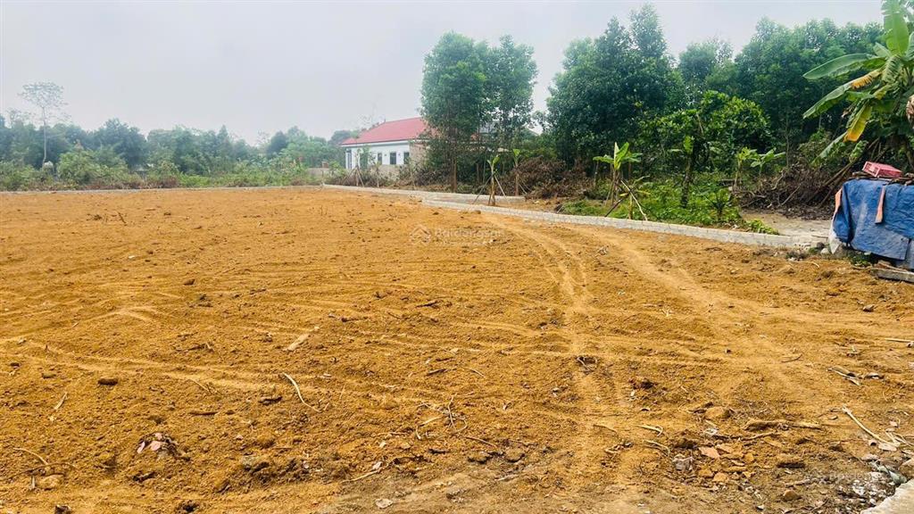 Cực phẩm lô 1329m full đất ở tại cổ đông hà nội