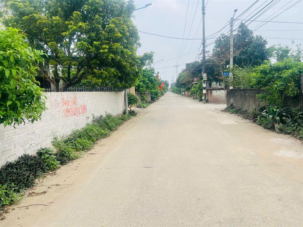 Cực phẩm lô 1329m full đất ở tại cổ đông hà nội