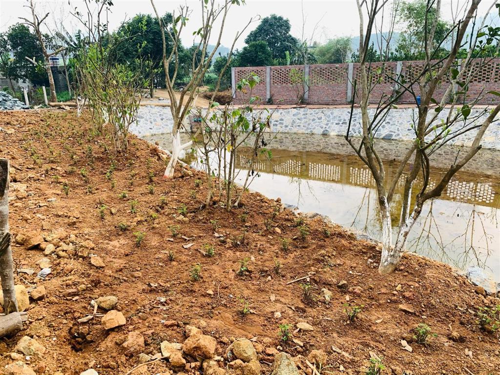 Cực hot lô 300m đất thổ tại yên bài, hà nội