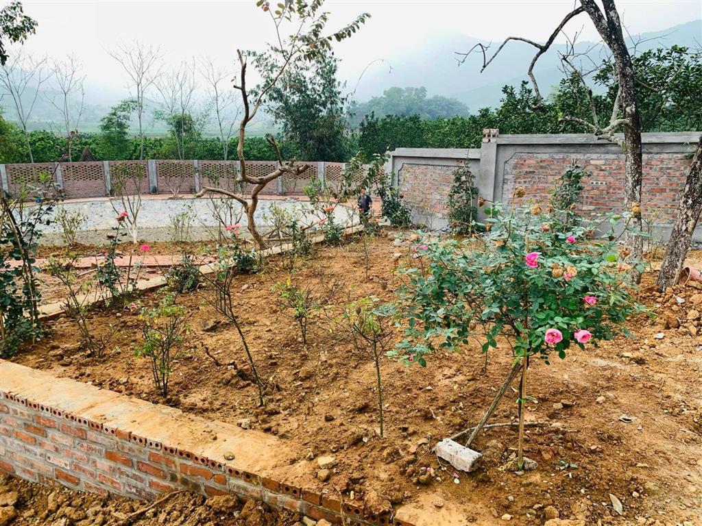 Cực hot lô 300m đất thổ tại yên bài, hà nội