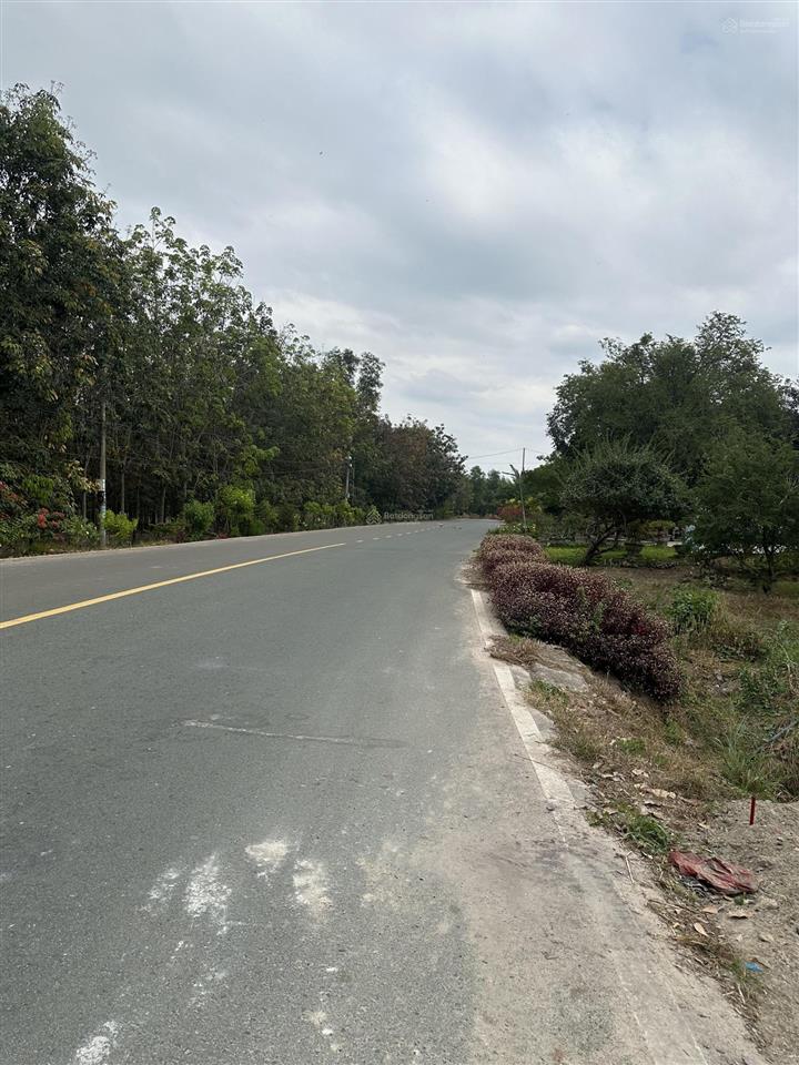 350m2 nhựa dh01 phường chơn thành giá đầu tư