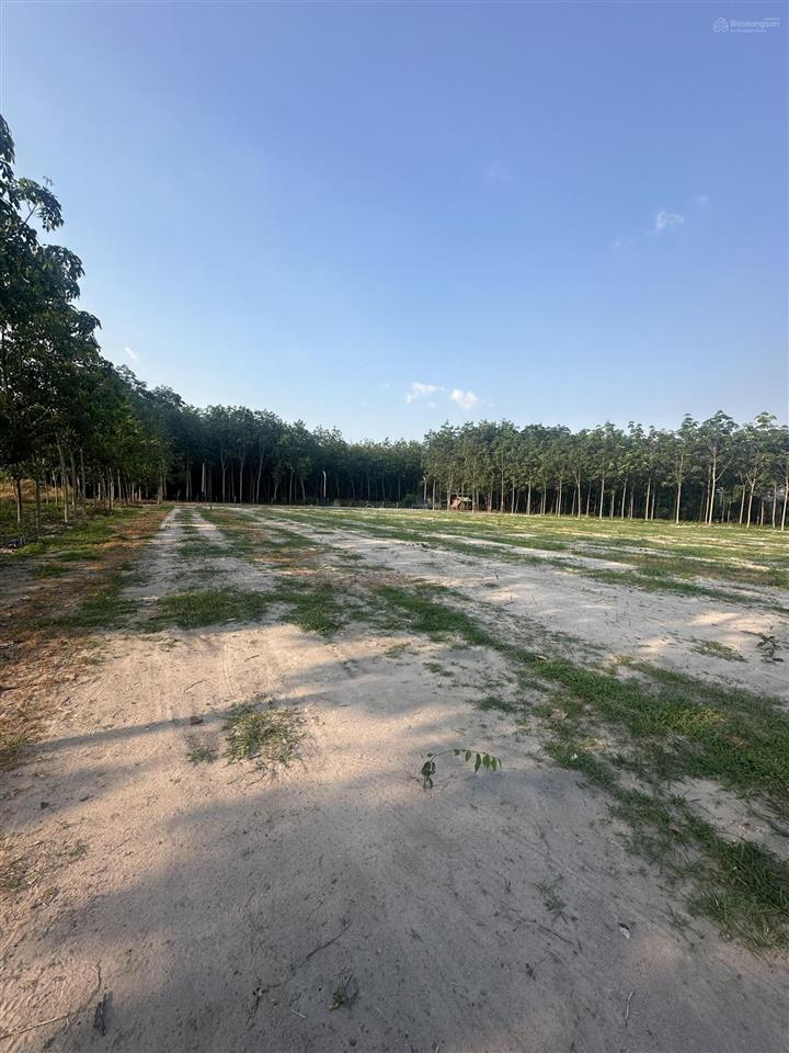 225m2 nhánh cao bá quát p. minh hưng hơn 400tr