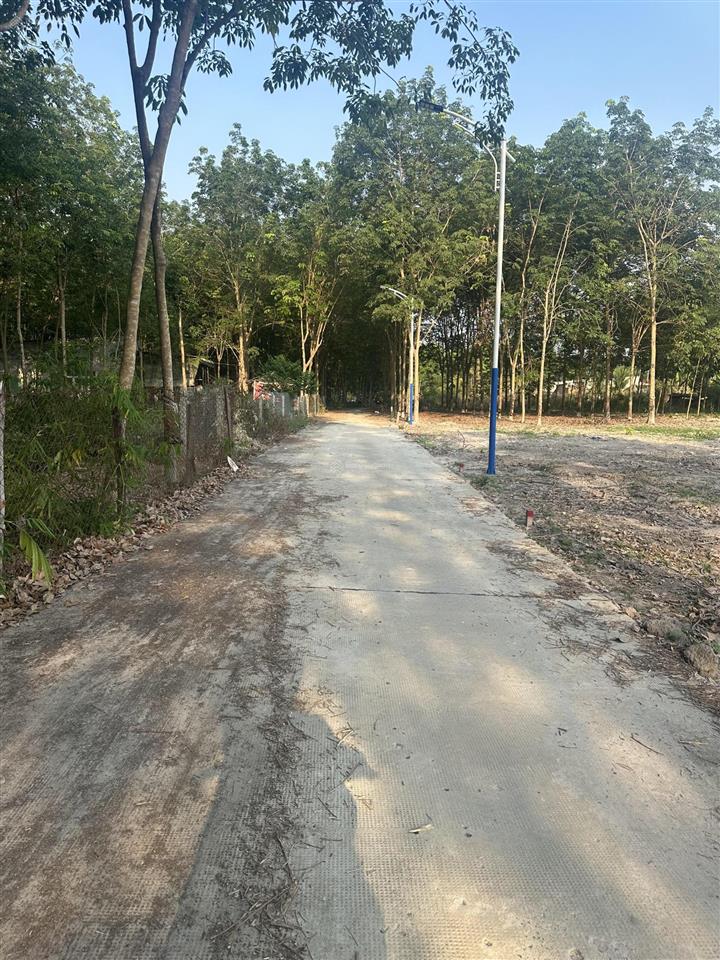 225m2 nhánh cao bá quát p. minh hưng hơn 400tr