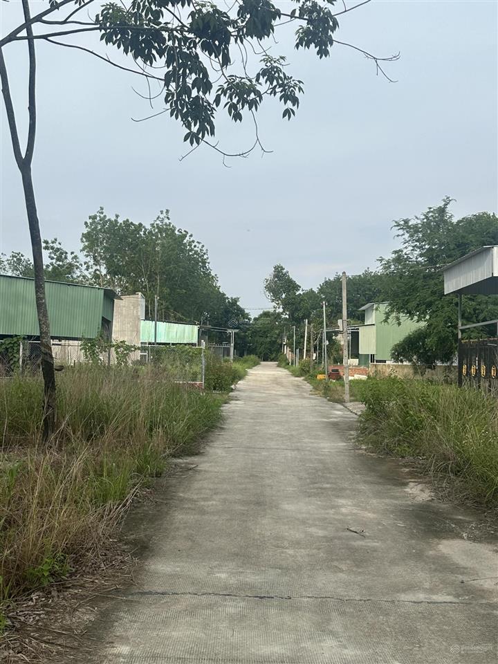 5m nhánh cao bá quát kp12 p. minh hưng, giá đầu tư