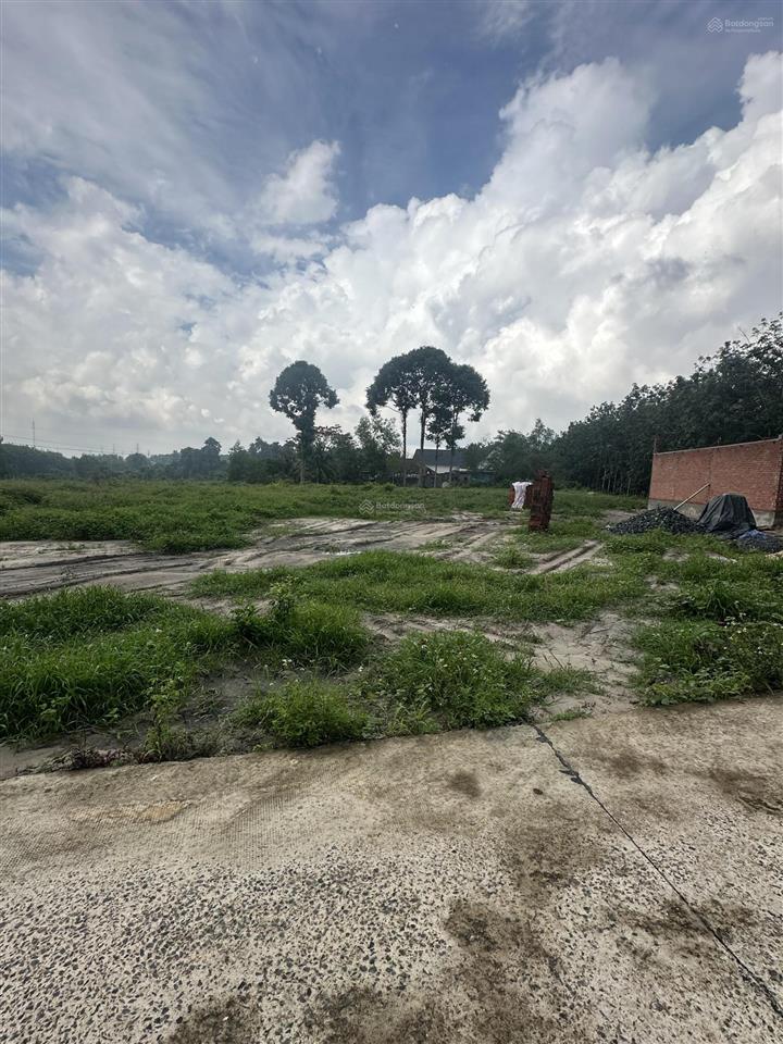 1121m2 có 100m2 thổ cư p. chơn thành giá đầu tư