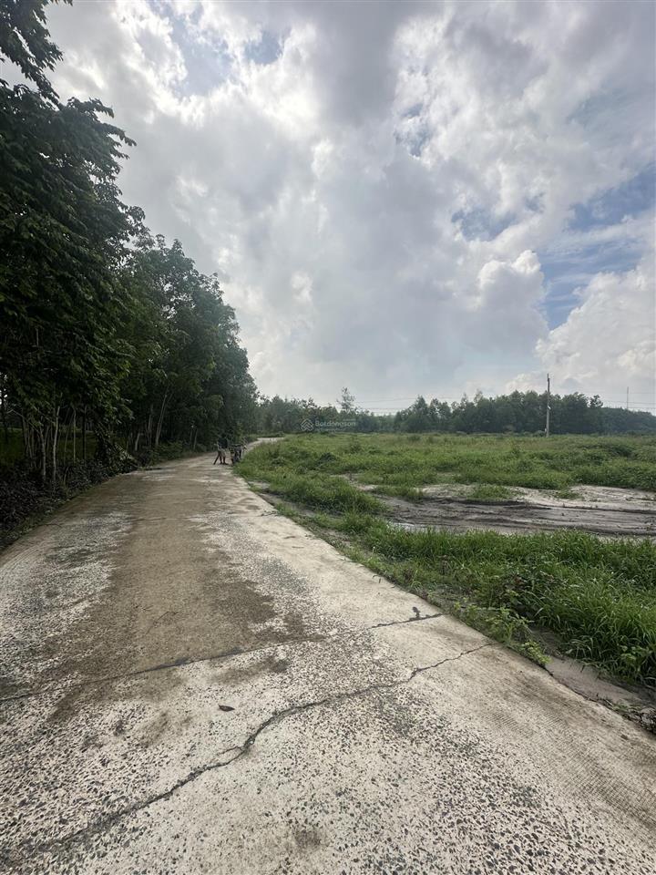 1121m2 có 100m2 thổ cư p. chơn thành giá đầu tư