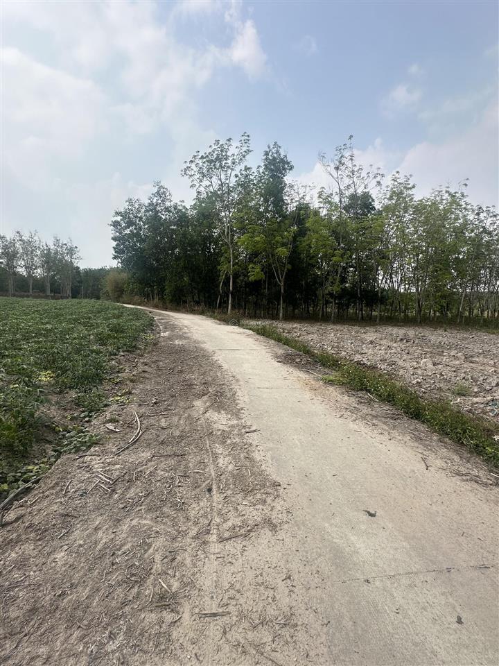 4700m2 sẵn 100 thổ cư p. chơn thành, shr giá đầu tư