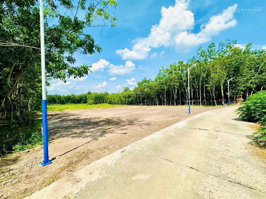 4700m2 sẵn 100 thổ cư p. chơn thành, shr giá đầu tư