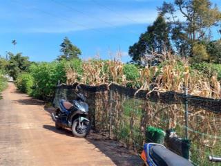 Lô đất khu làng chùa đại ninh phú hội đức trọng lâm đồng+ 275m giá 1 tỷ 750 ac mua đầu tư được