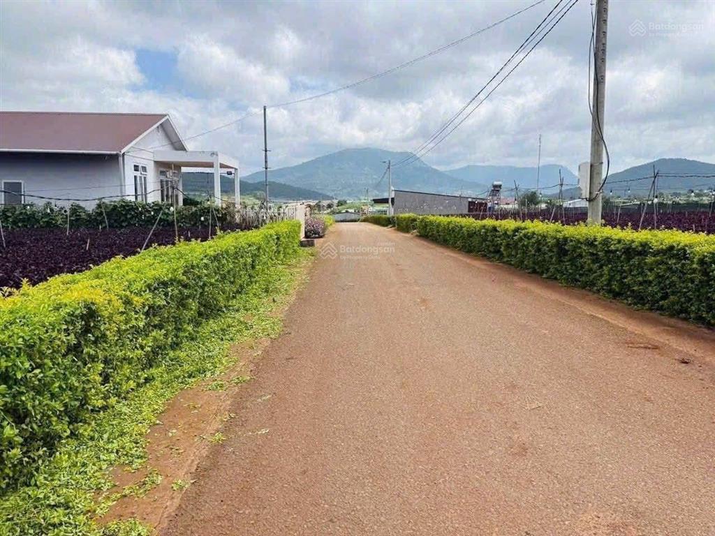 Bán lô đất xã đạ ròn đơn dương lâm đồng214m đất thổ cư 1 tỷ 4( đường bồng lai)
